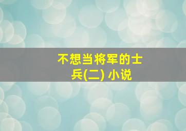 不想当将军的士兵(二) 小说